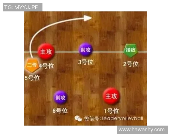西安排球队的进攻策略解析与深度剖析排球战术的奥秘与技巧