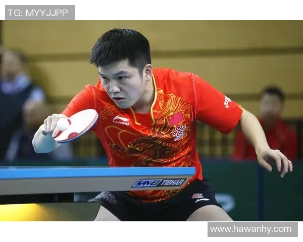 深圳乒乓球队在全国锦标赛中的战术运用与表现分析